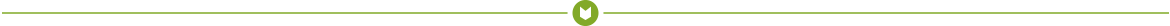 Separator Icon