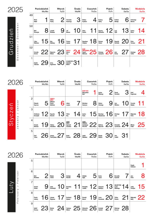 STANDARD - obrazek 4
