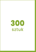 300 sztuk
